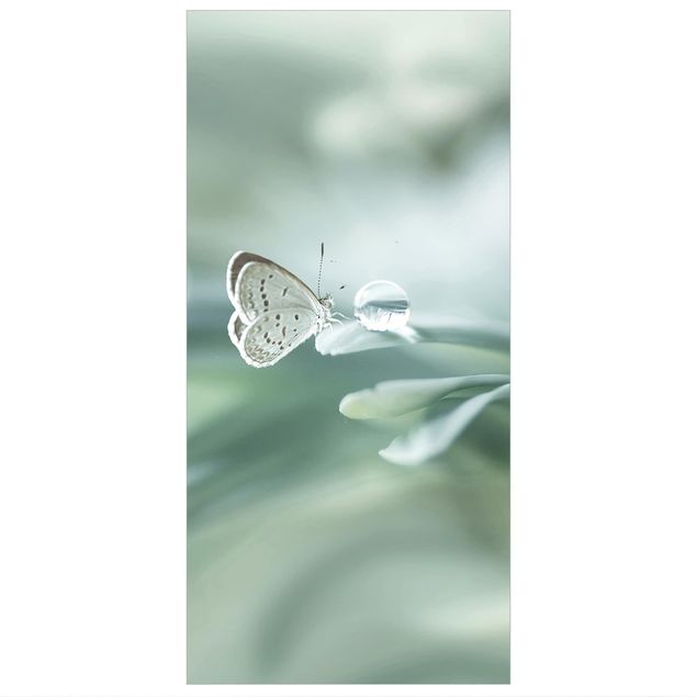 Divisórias de ambiente Butterfly And Dew Drops In Pastel Green