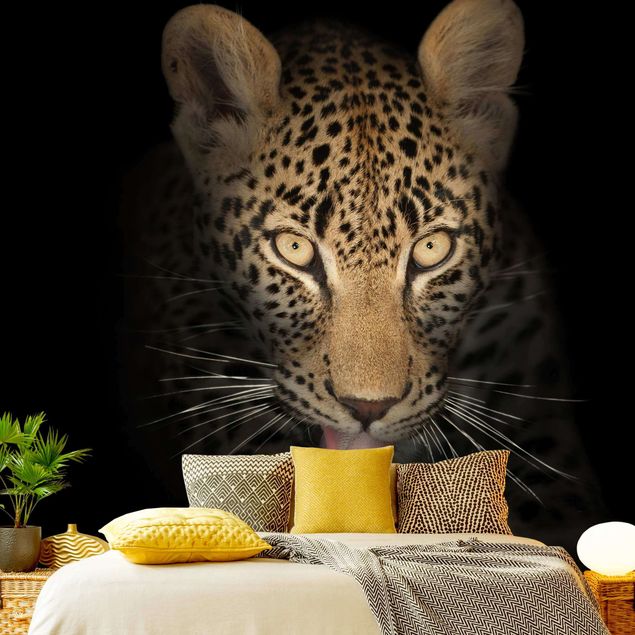 papel de parede moderno Resting Leopard