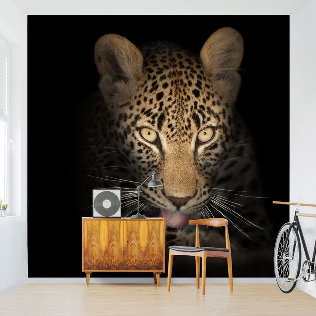 Papel de parede preto e branco Resting Leopard