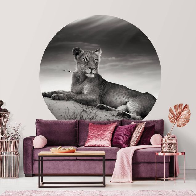 papéis de parede de gatinho Resting Lion
