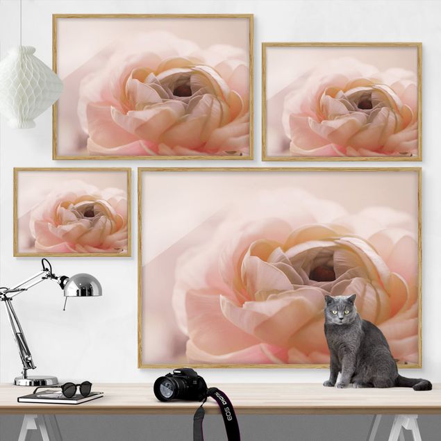 Quadros rosas Focus On Light Pink Flower