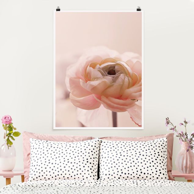 Posters flores Focus On Light Pink Flower