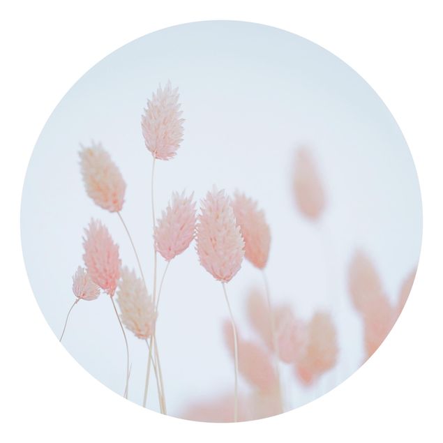 papel de parede floral Grass Tips In Pale Pink