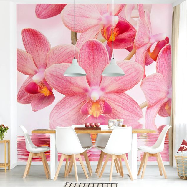 decoraçao cozinha Light Pink Orchid On Water