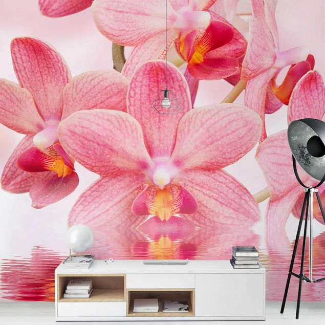 papel parede de flor Light Pink Orchid On Water