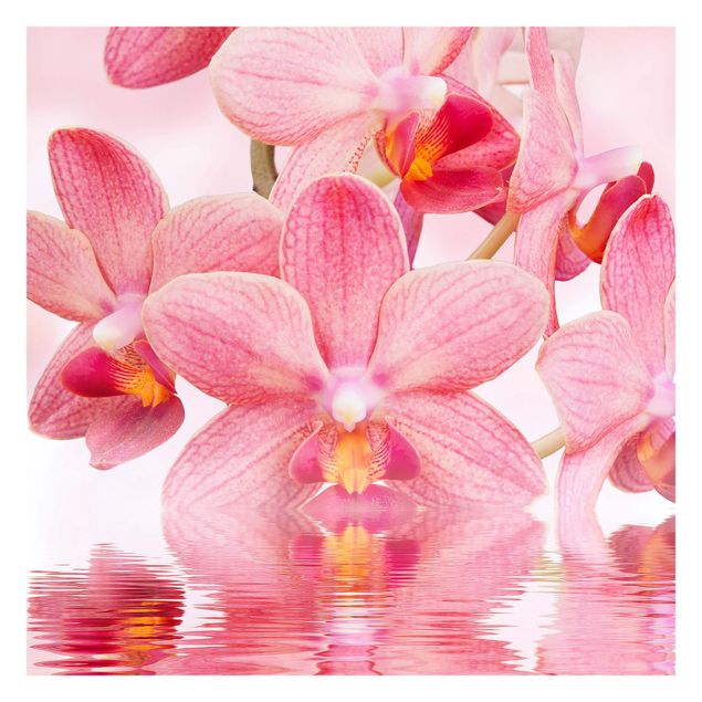 Mural de parede Light Pink Orchid On Water
