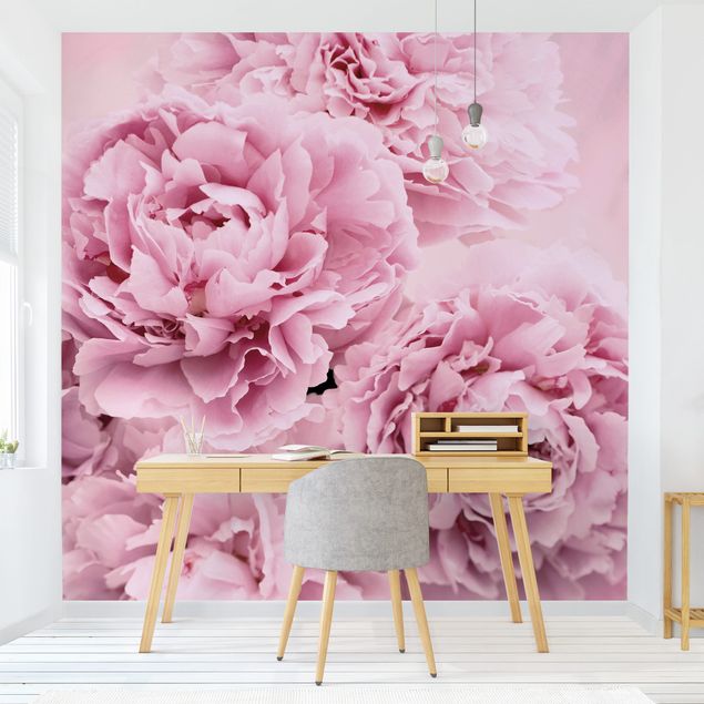 decoraçao para parede de cozinha Pink Peonies
