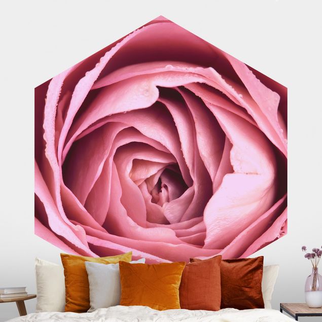 decoraçao para parede de cozinha Pink Rose Blossom