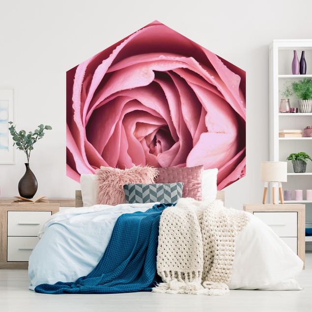papel de parede para quarto de casal moderno Pink Rose Blossom