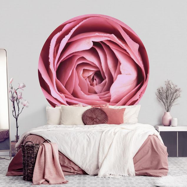decoraçoes cozinha Pink Rose Blossom