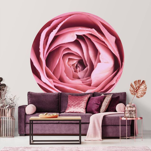 Papel de parede rosas Pink Rose Blossom
