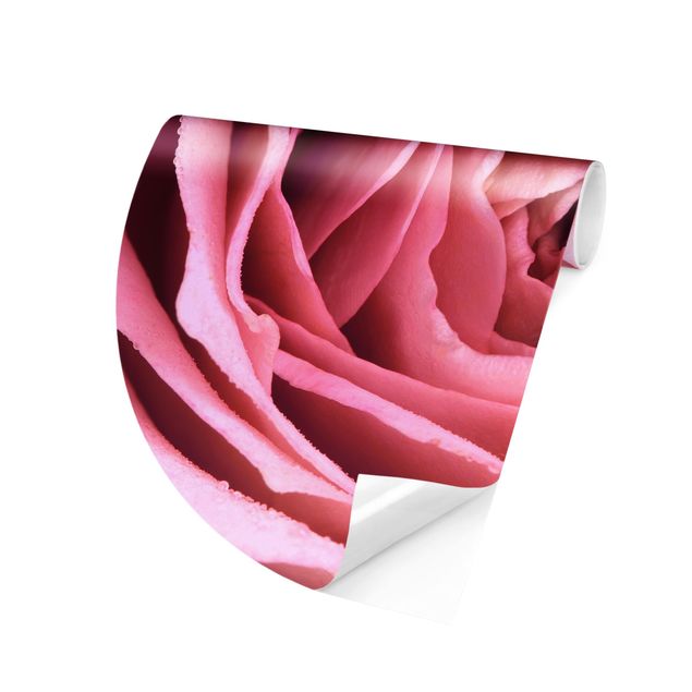 papel de parede moderno Pink Rose Blossom