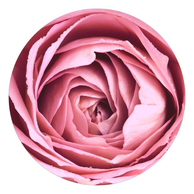 Papel de parede rústico Pink Rose Blossom