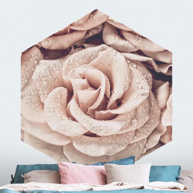 papel de paredes rosas Roses Sepia With Water Drops