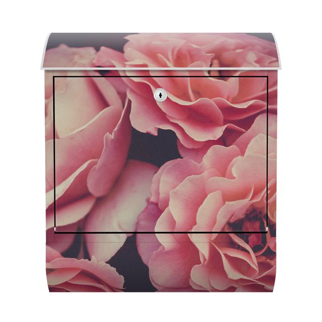 Caixas de correio em rosa Paradisical Roses