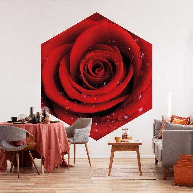 Papel de parede com flores Red Rose With Water Drops