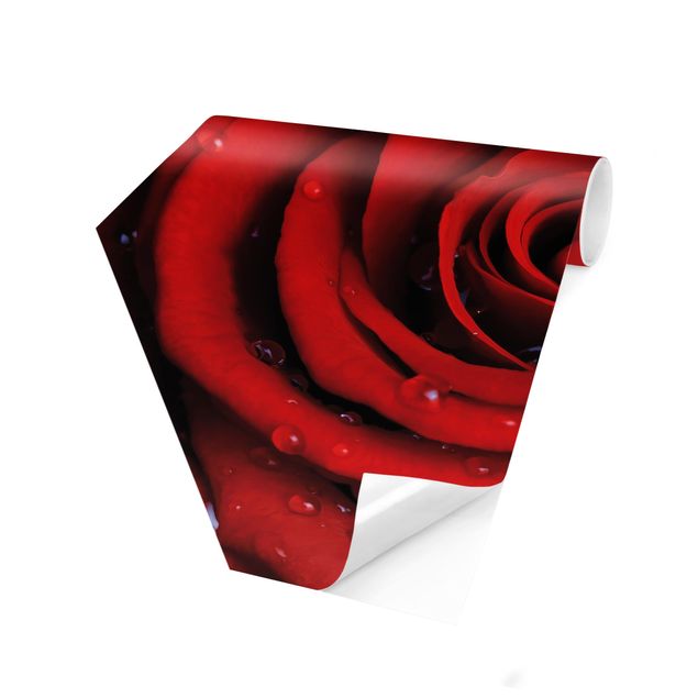 Papel de parede hexagonal Red Rose With Water Drops
