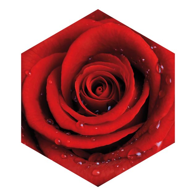 Papel de parede castanho Red Rose With Water Drops