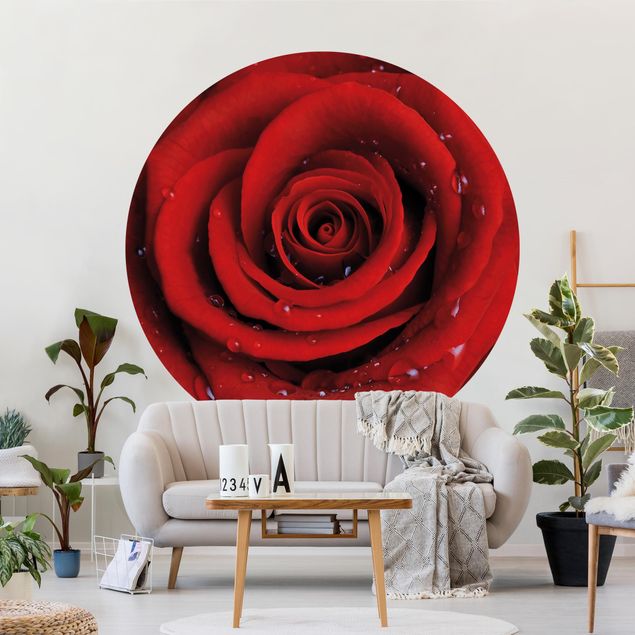 decoraçao para parede de cozinha Red Rose With Water Drops