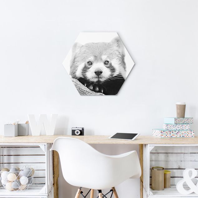 quadros decorativos para sala modernos Red Panda In Black And White