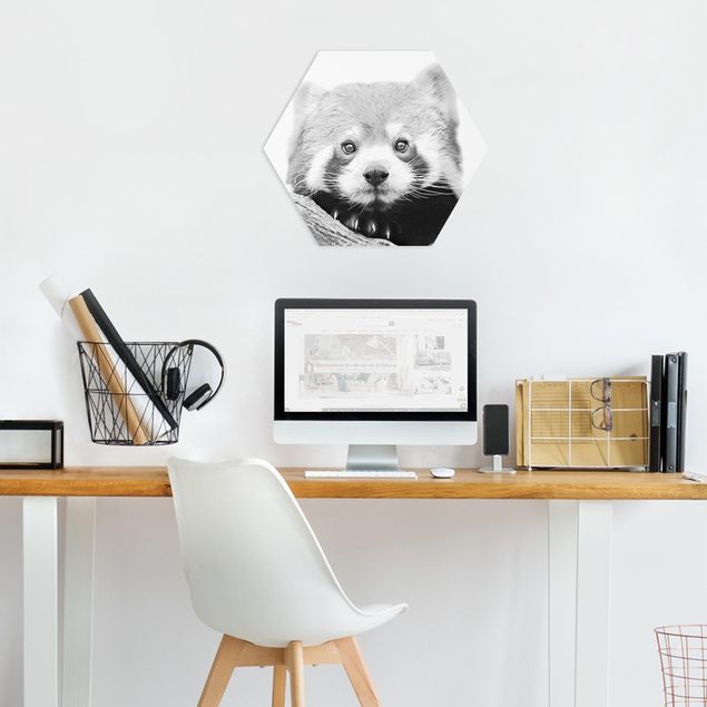 quadros decorativos para sala modernos Red Panda In Black And White