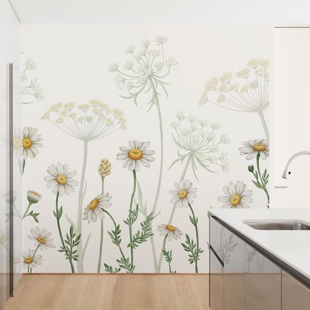 papel parede branco Achillea and daisy