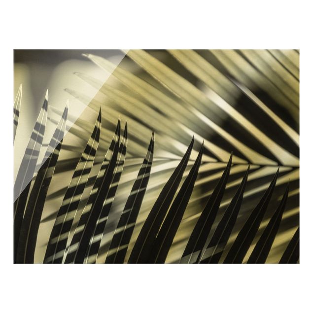 quadro com flores Interplay Of Shaddow And Light On Palm Fronds
