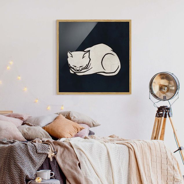 quadro de gato Sleeping Cat Illustration