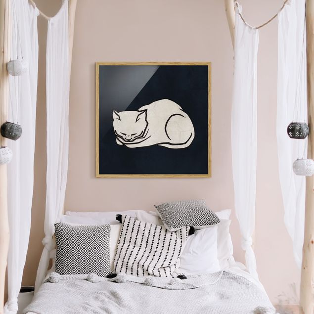 Quadros com moldura em preto e branco Sleeping Cat Illustration