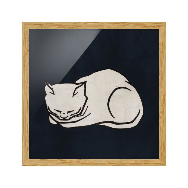 Quadros com moldura animais Sleeping Cat Illustration