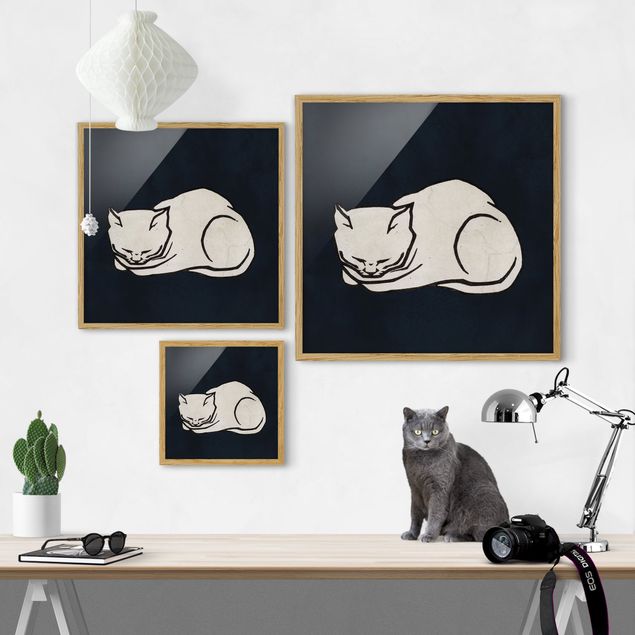 Quadros famosos Sleeping Cat Illustration