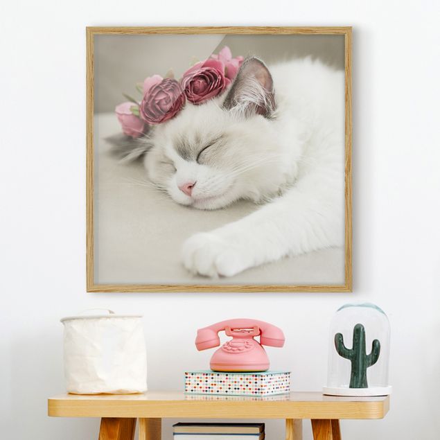 decoração quarto bebé Sleeping Cat with Roses