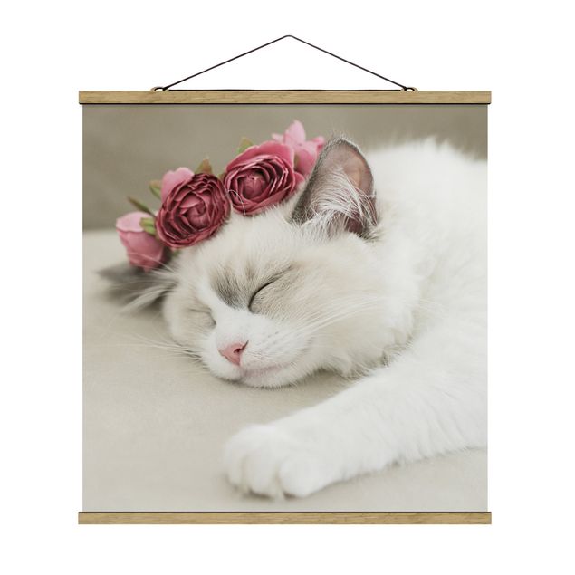 quadro com flores Sleeping Cat with Roses