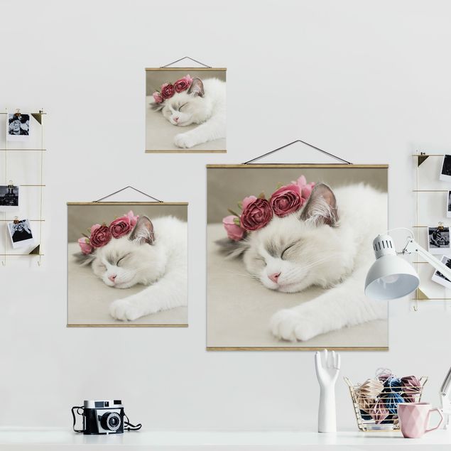 Quadros decorativos Sleeping Cat with Roses