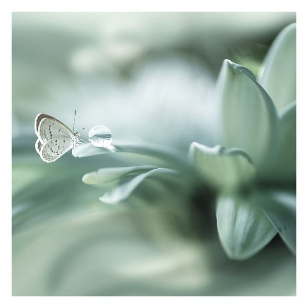 Mural de parede Butterfly And Dew Drops In Pastel Green