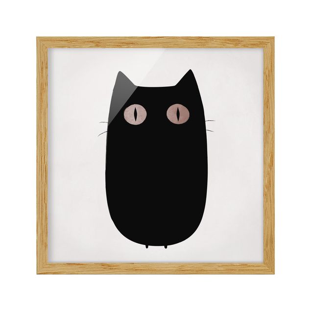 Quadros com moldura animais Black Cat Illustration