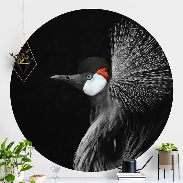 decoraçao para parede de cozinha Black Crowned Crane