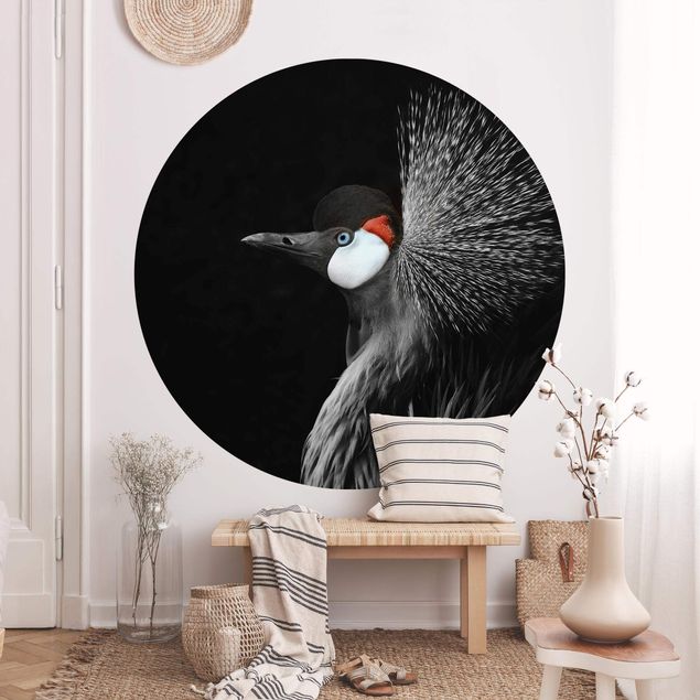 papel de parede com animais Black Crowned Crane