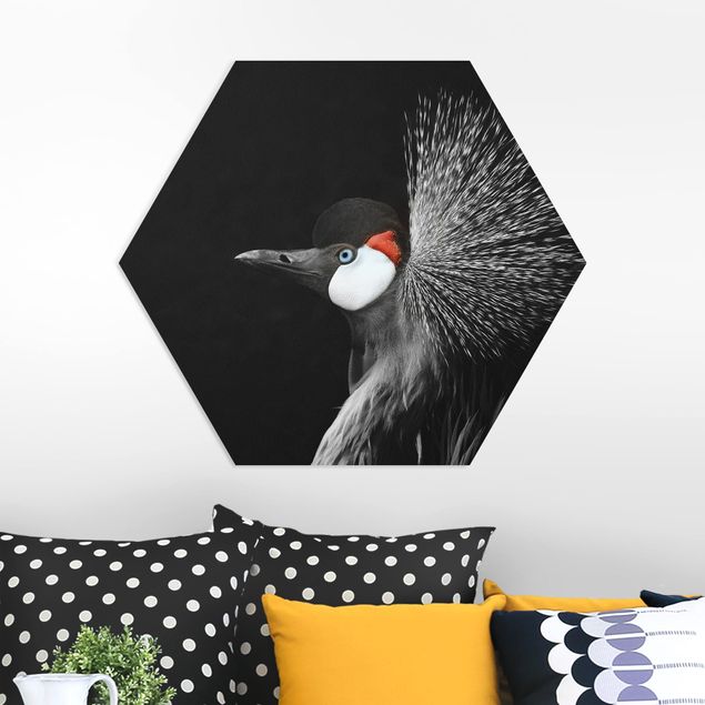 decoraçao cozinha Black Crowned Crane