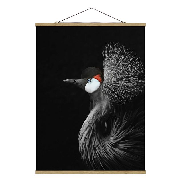 quadro animais quarto bebé Black Crowned Crane