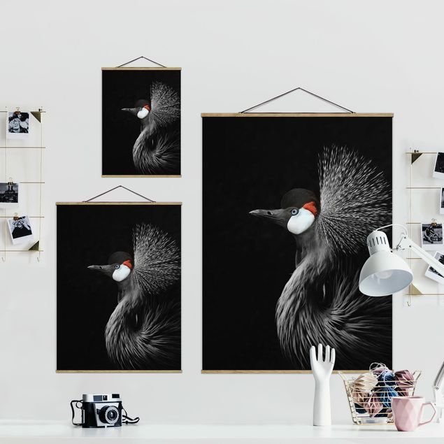 decoração quadros Black Crowned Crane