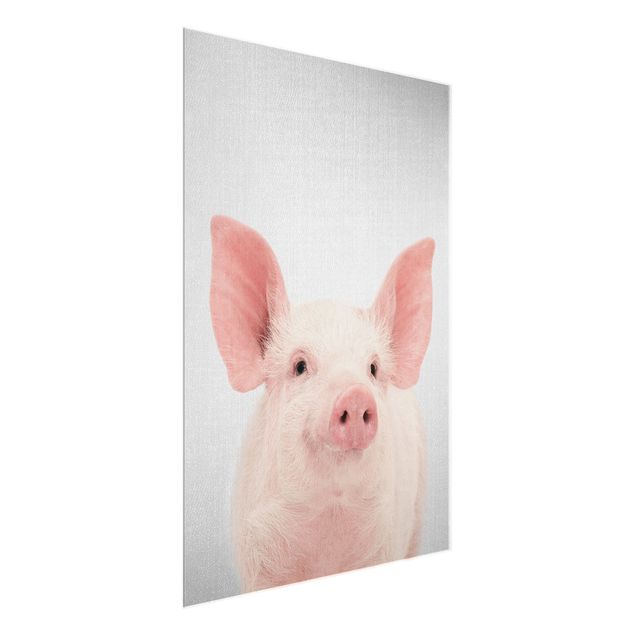 quadros decorativos para sala modernos Pig Shorsh