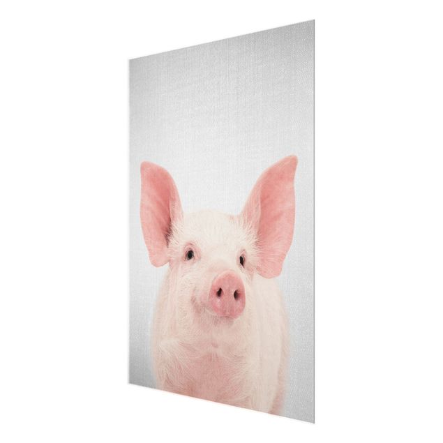 quadros para parede Pig Shorsh