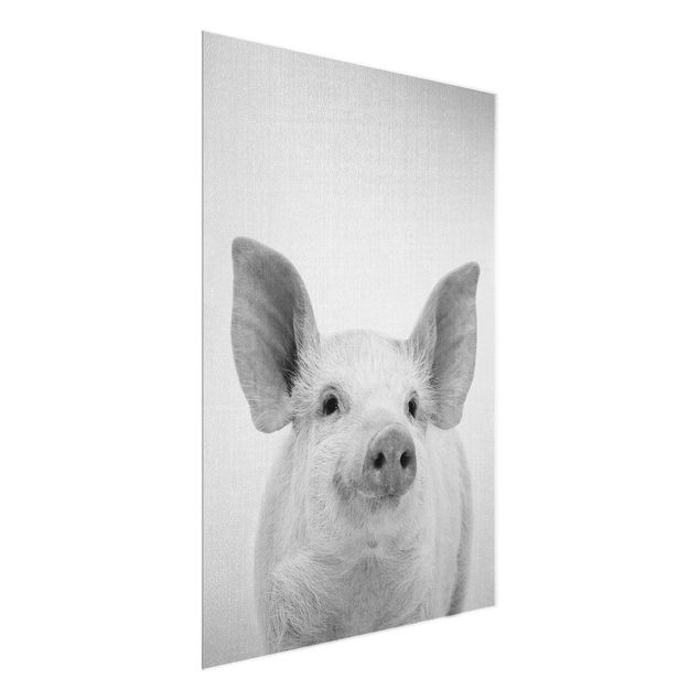 quadros modernos para quarto de casal Pig Shorsh Black And White