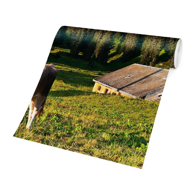 papel de parede com paisagem Swiss Alpine Meadow With Cow
