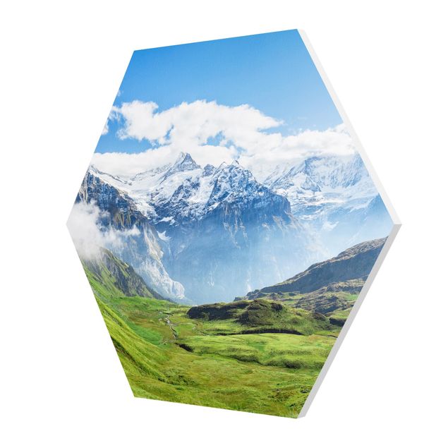 quadro da natureza Swiss Alpine Panorama