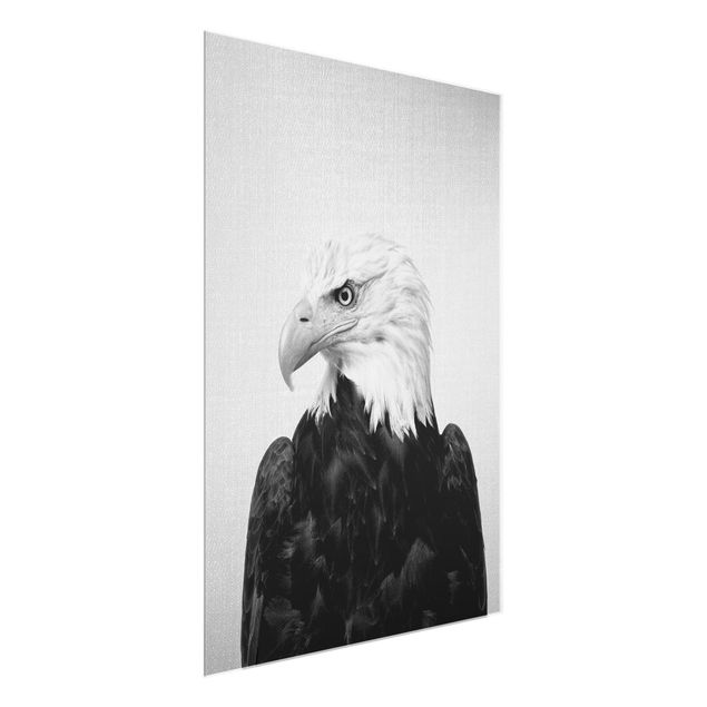 quadros modernos para quarto de casal Sea Eagle Socrates Black And White