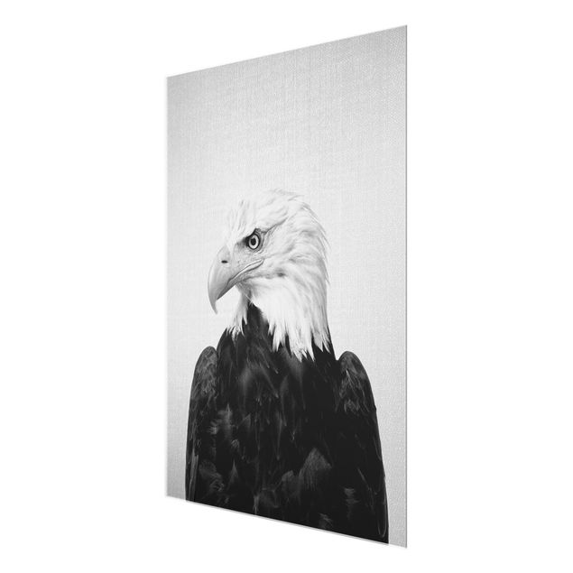 decoração quadros Sea Eagle Socrates Black And White