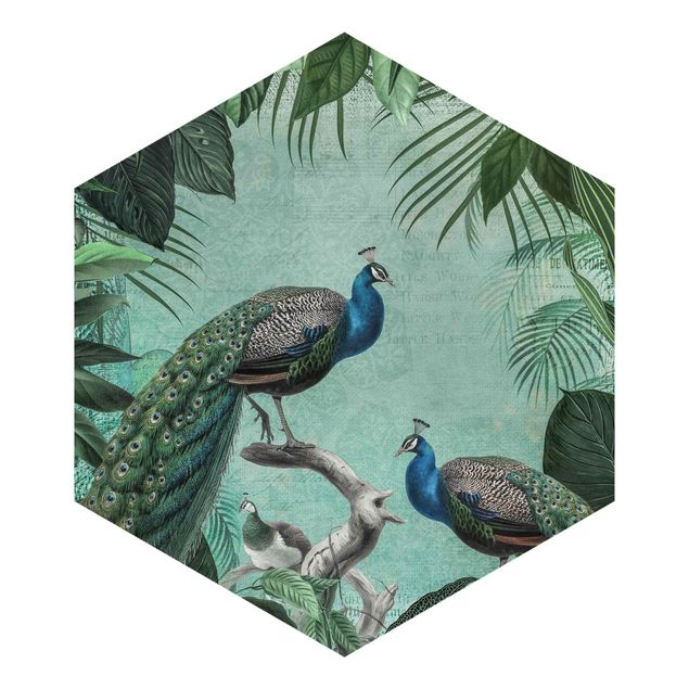 papel parede verde agua Shabby Chic Collage - Noble Peacock