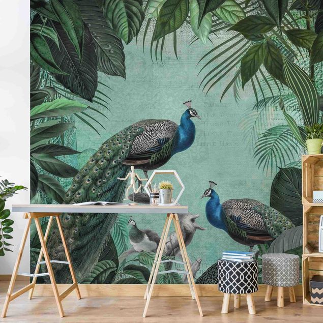 Papel de parede pássaros Shabby Chic Collage - Noble Peacock